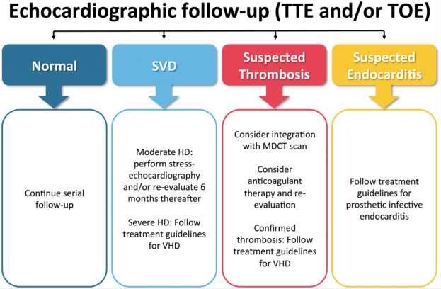 From: Standardized definitions of structural deterioration and valve failure in assessing long-term durability of transcatheter and surgical aortic bioprosthetic valves: a consensus statement from