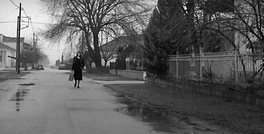 Award-Winning Greek Films of the 2015 Short Film Festival in Drama Thessaloniki IFF-2015 / Greek Films Inner Land 171 Σκηνοθεσία-Σενάριο/Direction-Screenplay: βίβιαν Παπαγεωργίου/Vivian Papageorgiou