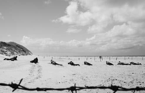 Thessaloniki IFF-2015 / Open Horizons Land of Mine [Κάτω απ την άμμο / Under sandet] 75 Σκηνοθεσία-Σενάριο/Direction-Screenplay: Martin Pieter Zandvliet Φωτογραφία/Cinematography: Camilla Hjelm