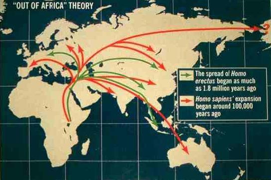 Το σενάριο out of Africa Λέγεται και σενάριο «αντικατάστασης», όπου ο σύγχρονος άνθρωπος