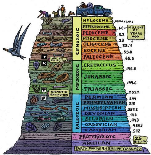 Το αρχείο των απολιθωμάτων Οι γνώσεις μας