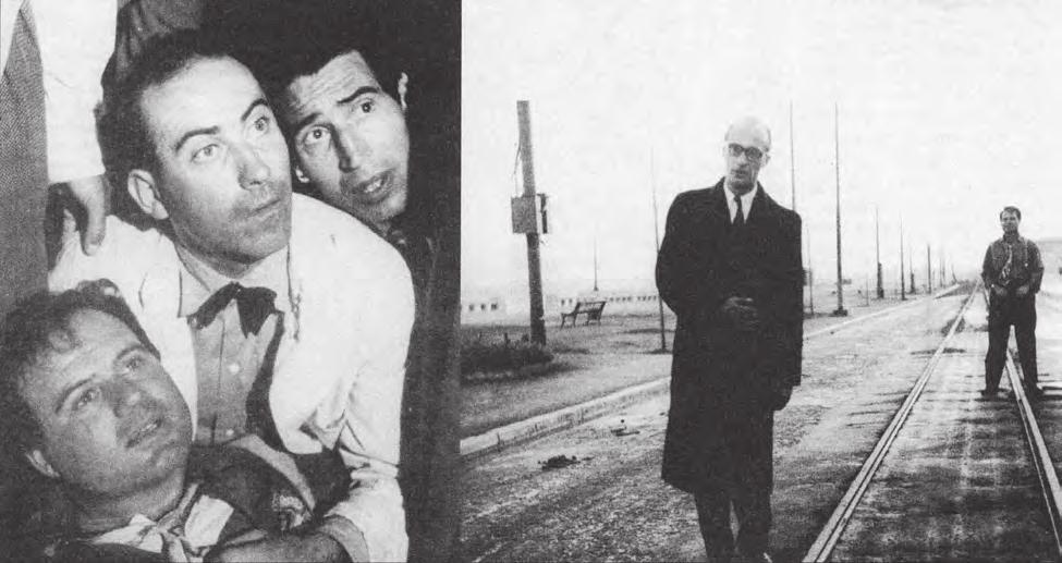 Δαμιανός, Βούλγαρης, Αγγελόπουλος, Κανελλόπουλος κ.ά.), φθάνοντας σε υψηλά καλλιτεχνικά και τεχνικά επίπεδα και αποκτώντας διεθνή αναγνώριση.