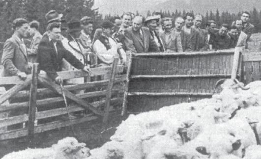Dve z legiend ovčiarskeho procesu prof. Ciuruš (vľavo) a prof. Lauričník. 8.4.1.