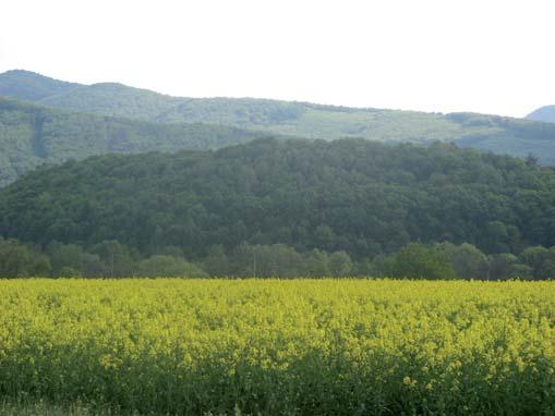 Poľnohospodárstvo je na Slovensku priestorovo najrozsiahlejšia činnosť človeka.