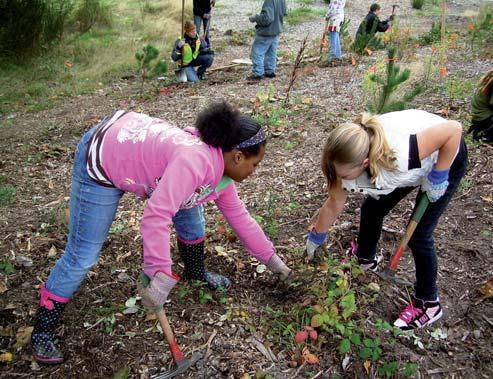 V roku 2004 sa primátor mesta, inšpirovaný vyše 10 rokmi a vyše 500 000 hodinami dobrovoľníckej ozeleňovacej práce na území mesta, podpísal s predstaviteľmi mimovládneho sektora Zelené partnerstvo