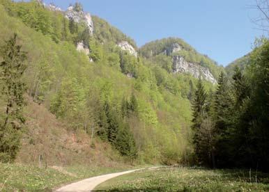Turistický smerovník pri odbočke Scenéria skalných brál Počasie je krásne, modrá obloha bez mráčikov, slniečko zohrieva svojimi jarnými lúčmi zem.