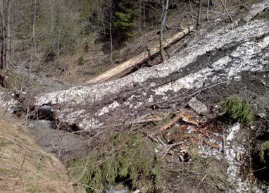 Tu sa zastavujem, napijem vody a na smerovníku čítam, že som 490 m n. m. Vchádzam do Národného parku Veľká Fatra (http://www. sopsr.sk/velkafatra/turistika/mapanp.