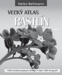 Nominácie na lesoochranárske činy jednotlivcov vykonané v roku 2008 alebo na dlhodobú činnosť, ktorá má jasný a pretrvávajúci pozitívny dopad na ochranu lesov a ich biodiverzity, je možné zasielať do