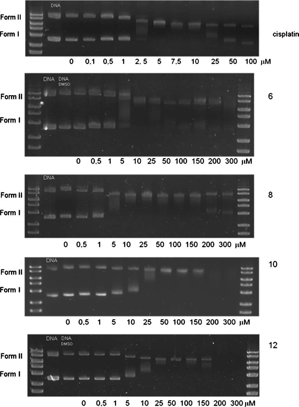 = 18..r b, pričom r b je molárny pomer medzi platinou a bázami DNA (nie bázovými pármi!), kde dochádza ku koalescencii pohyblivostí medzi ocdna a scdna, Obr.18. [Keck a Lippard 1992]. Obr. 18. Vplyv cisplatiny na pohyblivosť plazmidovej DNA, pohyblivosť superhelikálnej formy scdna reprezentuje Forma I a relaxovanú ocdna formu reprezentuje Forma II.