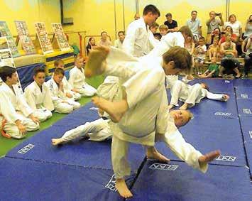 JU JITSU za mladostnike in odrasle Mentor - Sensei: Janez Mrak Tudi mi smo zelo uspešno zaključili šolsko leto.