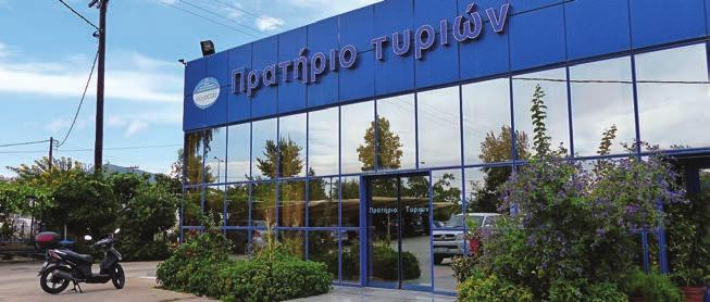 Σύμβουλος της Trienon Handels GmbH