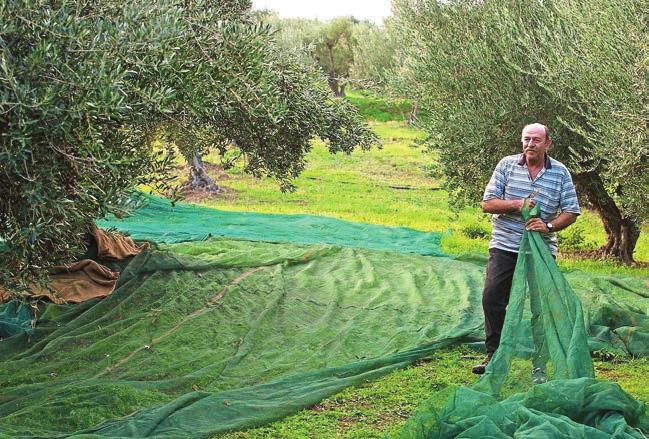 προηγούμενη χρονιά.