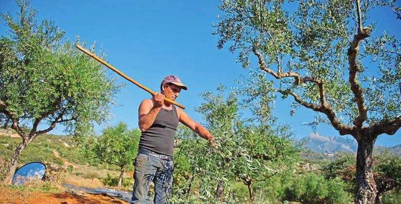 προοπτικές: Μετά από μια δύσκολη