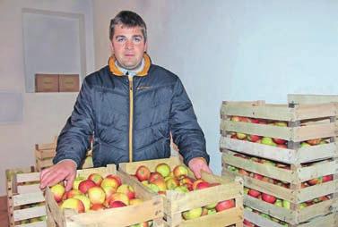 12 KMETIJSTVO cveto.zaplotnik@g-glas.