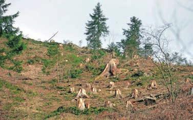 Ledena pravljica, izdelana iz 60 ton ledu, nas tokrat popelje v čas naših prednikov Slovanov, ki so živeli skupaj z naravo ter z njo povezanimi običaji.