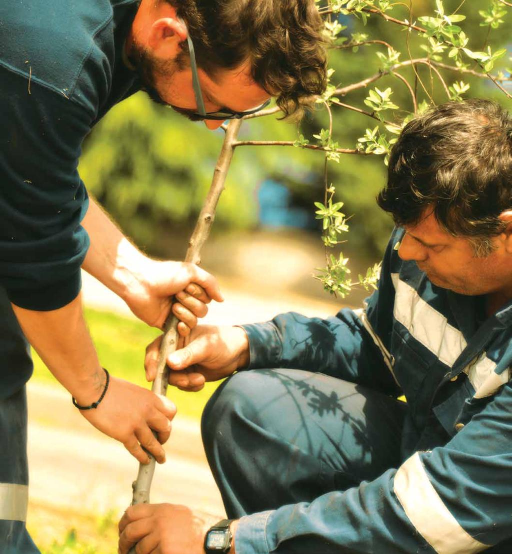 Ε. Η Σιδενόρ κατέχει την πρώτη θέση στην Ελλάδα και μία από τις κορυφαίες στα Βαλκάνια σε ότι αφορά στις δραστηριότητες ανακύκλωσης παλαιοσιδήρου.
