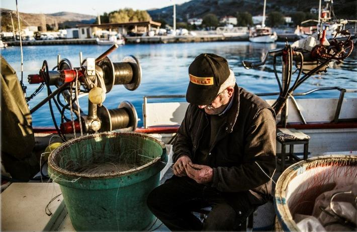 επισκέπτες) Σχολείο όλων των βαθμίδων, κέντρο