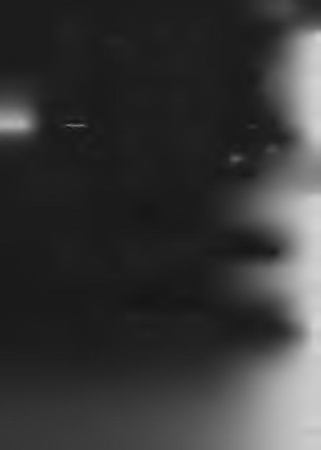 V c) d) e) the designation, date and place o f the offence and a summary of the facts of the case; a statement attesting to the existence o f a-warrant o f arrest or of a conviction to which this