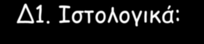 Δ1. Ιστολογικά: α.