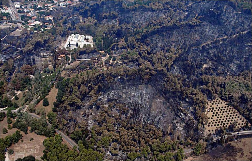 Πτυχιακή εργασία Σχήμα 6. Οι επιπτώσεις στην αρχαία Ολυµπία. Από την πυρκαγιά καταστράφηκαν (Σχ.