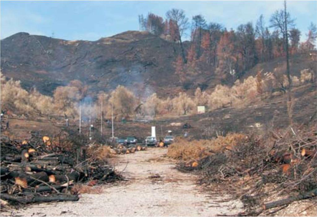Διακρίνονται τα καμένα ελαιόδενδρα και στο δεύτερο επίπεδο ο χώρος της Διεθνούς Ολυμπιακής Ακαδημίας.