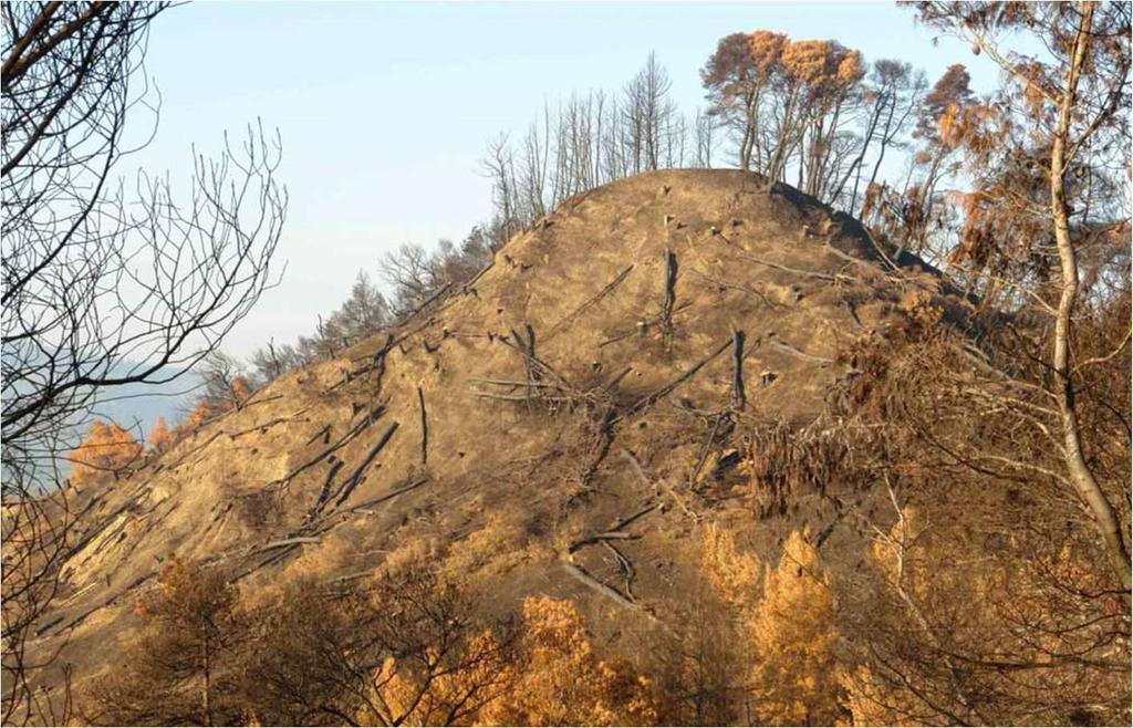 Σχήμα 19 Εργασίες αποκατάστασης.