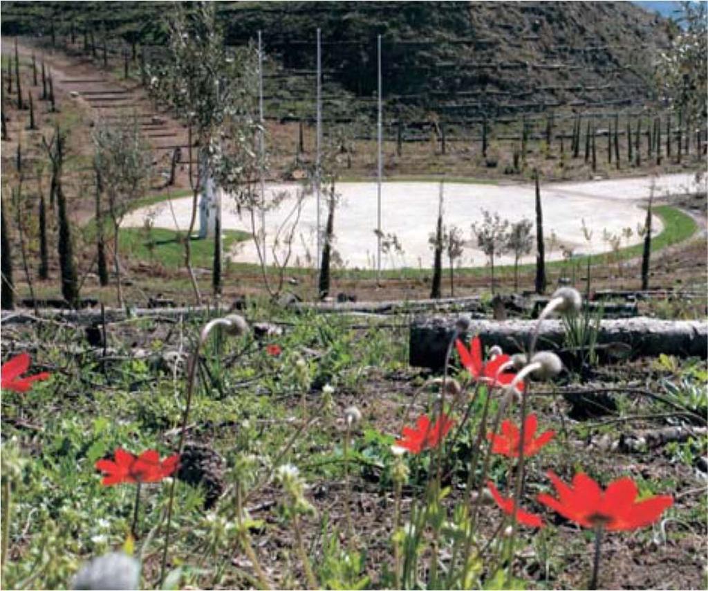 ανταποκριθούμε στο χρέος μας ως προς το κύρος του ιερού θεσμού για την παγκόσμια κοινότητα.