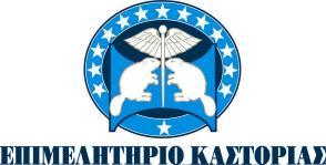 ΕΠΙΜΕΛΗΤΗΡΙΟ