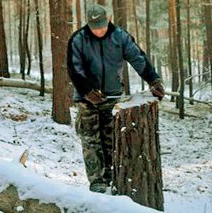 Významnou sa ukázala rekodifikácia Trestného zákona SR v roku 2005, podľa ktorej možno brať na zodpovednosť za trestné činy proti životnému prostrediu okrem fyzických aj právnické osoby, pričom sa