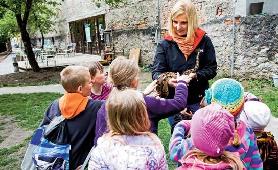 ENVIROVÝCHOVA Sály plné vnímavých detí a študentov a filmový a sprievodný program vo forme hier, kvízov, súťaží a iných ekoaktivít prispôsobených ich veku - to je hlavným cieľom Juniorfestivalu,