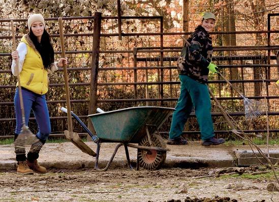 REZORTNÉ ORGANIZÁCIE MŽP SR/ENVIROSVET návštevníkov, ktorí sa dozvedia niečo, čo pri klasickej prehliadke záhrady nezistia.