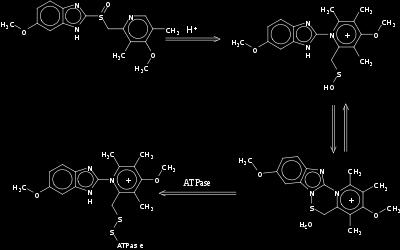 METABOLISM Omeprazole. Sulphenic acid.