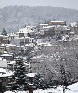 Ελεύθεροι για περίπατο, στάση για καφέ και συνεχίζουμε για το χιονοδρομικό κέντρο Περτουλίου. Γεύμα εξ ιδίων. Έπειτα, συνεχίζουμε για την Καρδίτσα, στάση στην όμορφη πόλη.