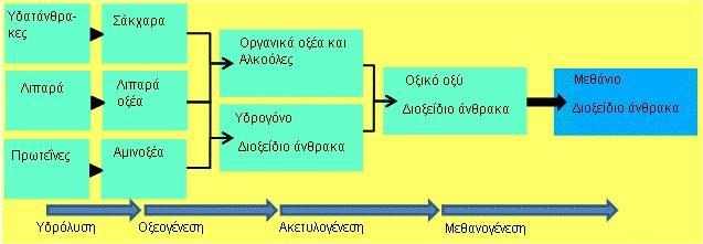 3.3 Βιοχημική διεργασία Αναερόβιας Χώνευσης Η αναερόβια χώνευση, όπως αναφέρθηκε, περιλαμβάνει τη διάσπαση της οργανικής ύλης σε περιβάλλον απουσίας οξυγόνου.