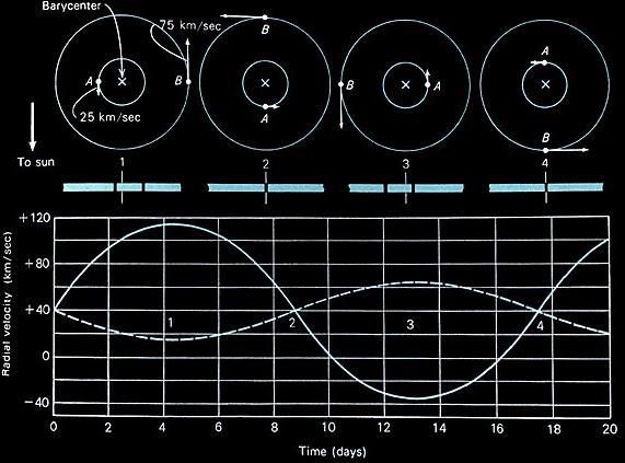 Δλ Posun spektrálnych čiar je spôsobený Dopplerovým javom: λ = v r c V prípade kruhových dráh potom pre pomer hmotností q dostávame: q = m 2 m 1 = r 1 r 2 = v 1 v 2 = v r,1