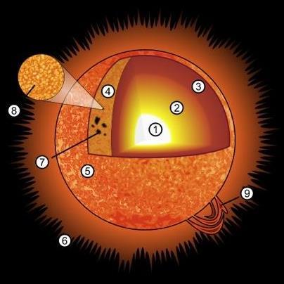 Štruktúra Slnka 1 - jadro (< 0,3 R ) - obsahuje héliové jadro (< 0,1 R ), - v jadre prebiehajú TN syntézy vodíka na hélium s maximom produkcie vo vrstve, ktorá obklopuje héliové jadro ( 0,1 R ) 2 -