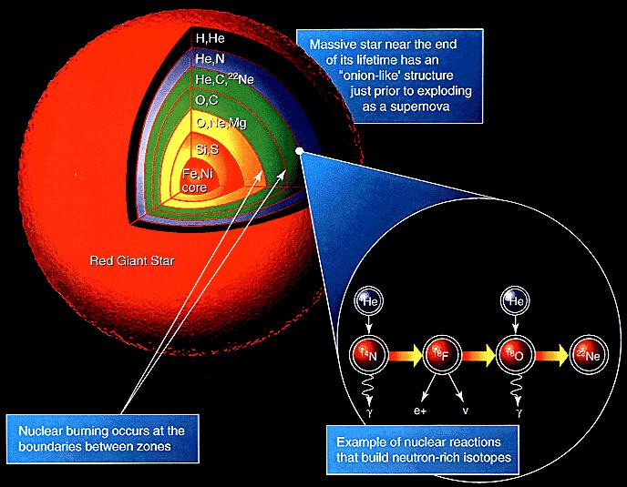 Termonukleárne reakcie syntéza hélia a ťažších prvkov Hmotná hviezda má na konci svojho života, tesne pred vzplanutím ako supernova typu II cibuľovitú štruktúru.