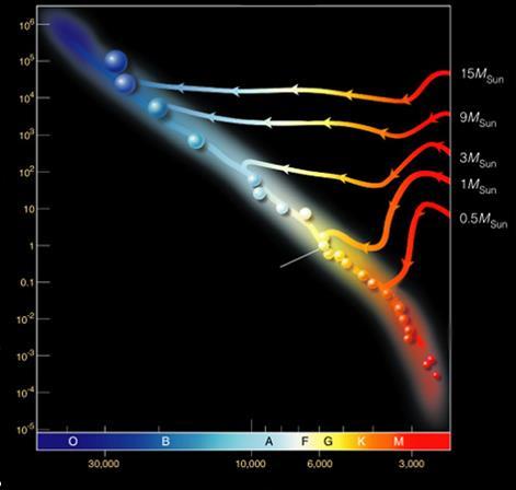 svietivosť [L/L ] Vznik hviezd 60 000 rokov 150 000 rokov ZAMS Slnko teplota [K] Vývoj hviezd pred dosadnutím na hlavnú postupnosť nulového veku (ZAMS) závisí od ich hmotnosti.
