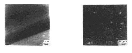 194 18 1 [14 ],.,,,. (A r) 1 000 1 200 2 h,, 1 5 Λm. ( 1 N, 15 s). (SEM ) X. 2. 45 #,, 9. 8 N 19. 6 N, 1 250 cm.,,,. 2 2. 1, R a 0. 02 Λm, 0. 01 Λm,...,,,. 1 (a) M o rpho logy of DL C film sythesized from po lym er at the temperature of 1 200 (b) M o rpho logy of the DL C film after beig etched w ith atom ic hydroge fo r 0.