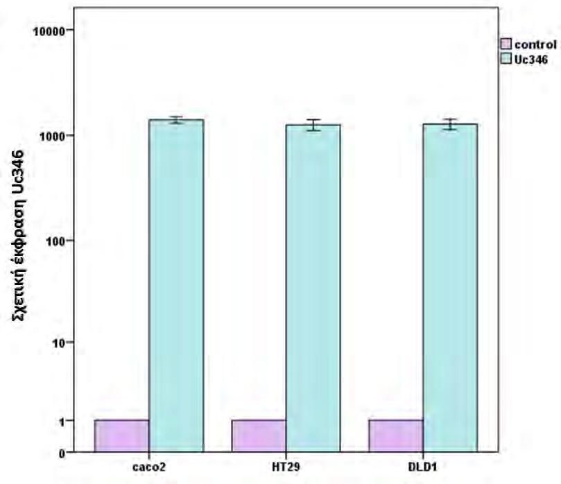 υπερέκφραση της Uc160 σε σχέση με τα κύτταρα - μάρτυρες. Σχήμα 3.25