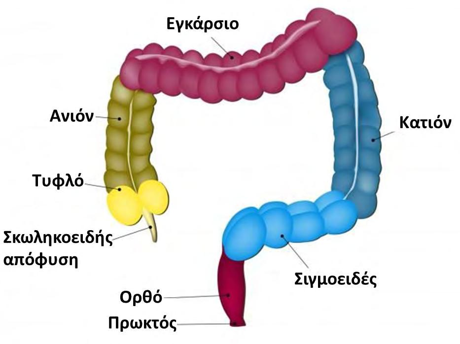 Σχήμα 1.
