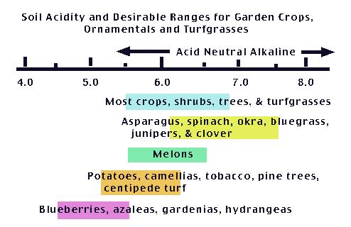 Το ph του εδάφους και οι προτιμήσεις των φυτών Εδαφολογική οξύτητα και επιθυμητό εύρος ph για τα δημητριακά, διακοσμητικά φυτά κήπων και χλοοτάπητα Όξινο ουδέτερο αλκαλικό Οι περισσότερες