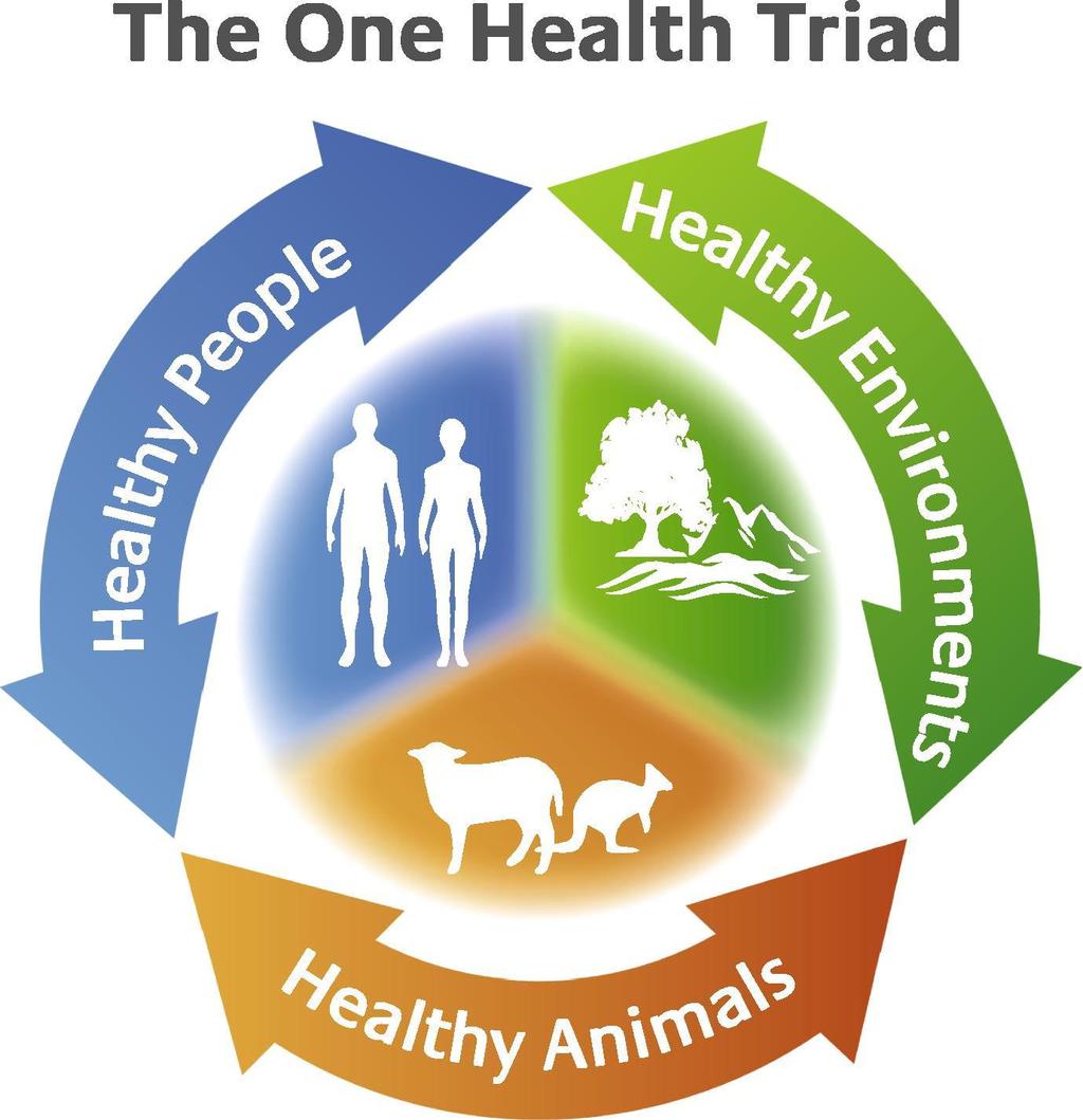 2/3 of emerging infectious diseases are zoonotic The interrelationship