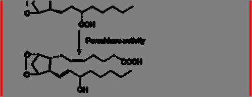 annuum plod Kapsaicin, flavonoidi, steroidni saponini Đavolja kandža*