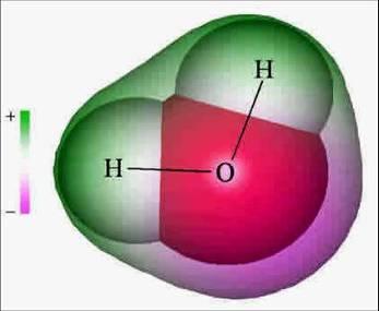 Tieto atómy sú v molekule usporiadané tak, že pripomínajú myšiaka Mickeyho (vodíky sú uši a kyslík hlava).