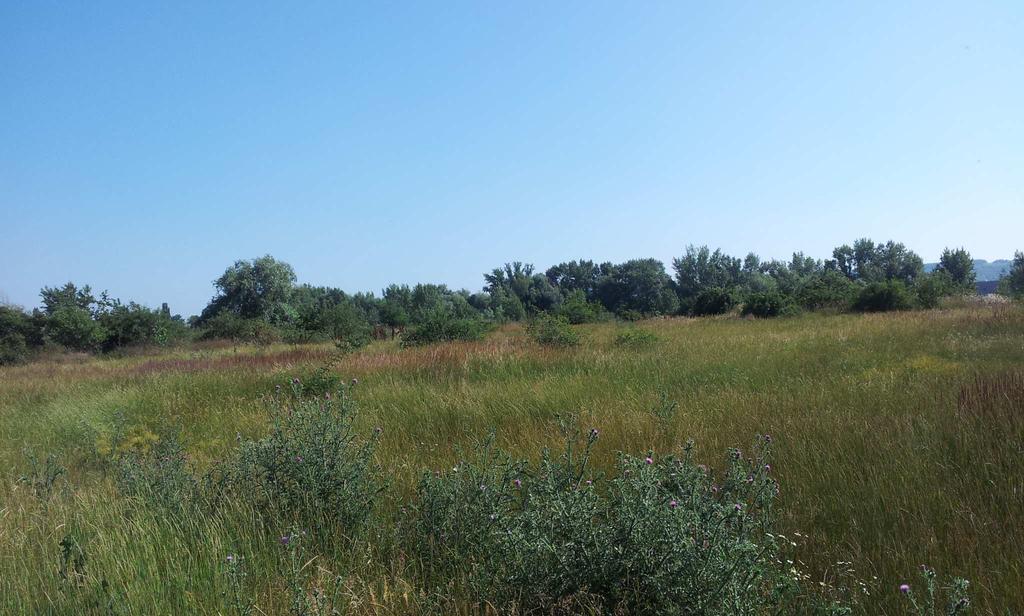 záhradami v Šulekove Lokalita 3 plochy bývalej skládky,