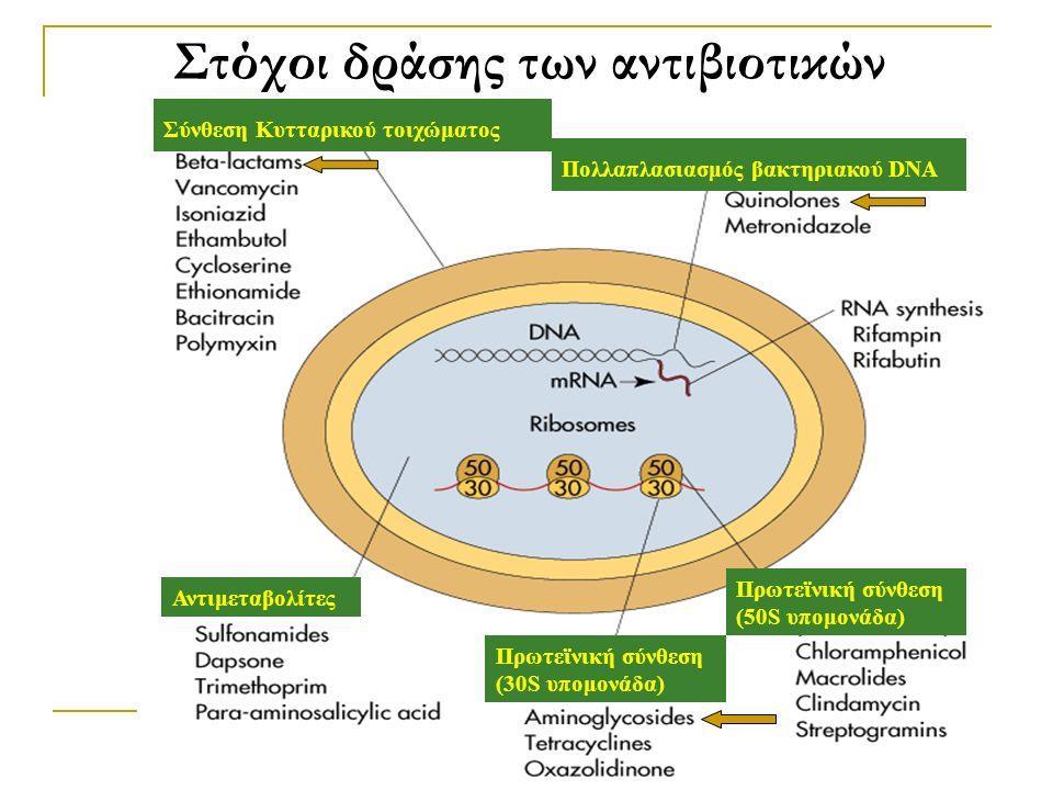 Μηχανισμός δράσης Αντιβιοτικά Ανστολή συνθεσης κυτταρικού τοιχώματος Αναστολή συνθεσης