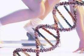 Γονιδιακό ντόπινγκ Με το γονιδιακό ντόπινγκ εισάγεται στον οργανισμό με κάποιο όχημα μεταφοράς ένας αβλαβής ιός που αλλάζει το γενετικό προφίλ ενός αθλητή (αυξάνει την μυϊκή μάζα, την παραγωγή