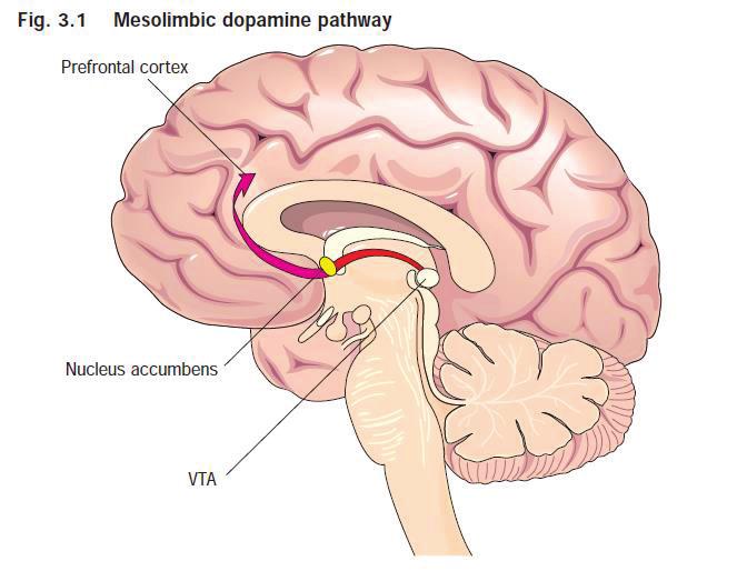 ABC of smoking cessation. Why people smoke. British Medical Journal.2004; 328: 277-9. Μετάφραση και αναδημοσίευση κατόπιν άδειας του Dr Jarvis και του British Medical Journal.