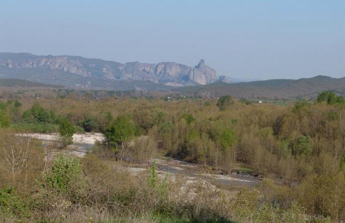 ΤΑ ΠΑΡΑΠΗΝΕΙΑ ΔΑΣΗ.